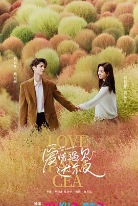 手机网站优化电话咨询